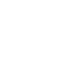 Product image with a clear background