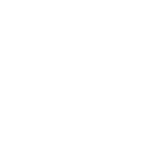 Product image with a clear background