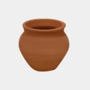 Tandoori Chai (1PCs)