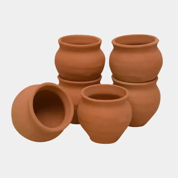 Tandoori Chai (6PCs)